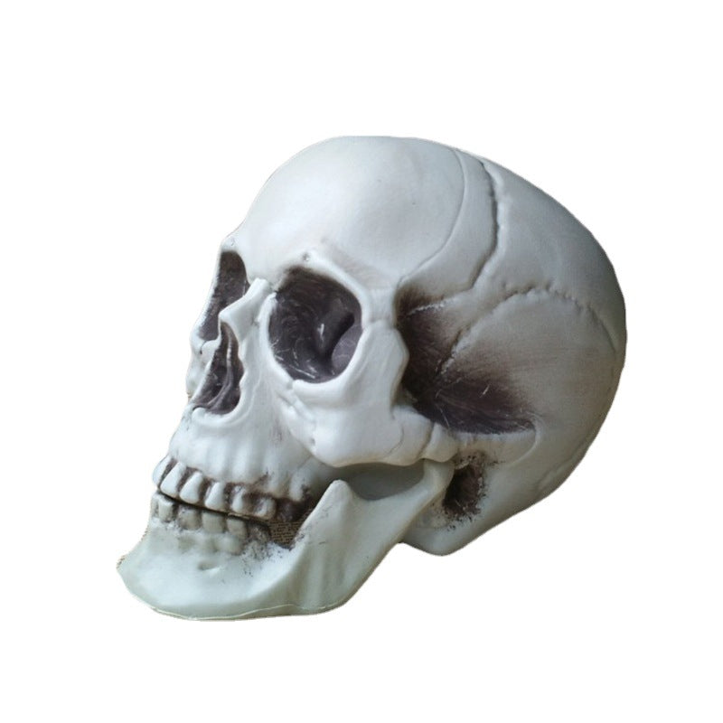 Halloween Venue Layout Props