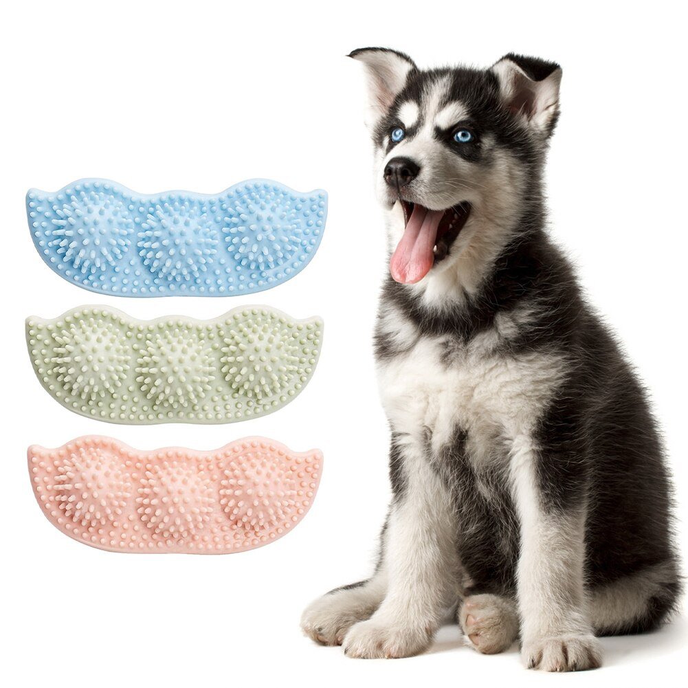 Bite-Resistant Dog Toy Ball for Interactive Chewing