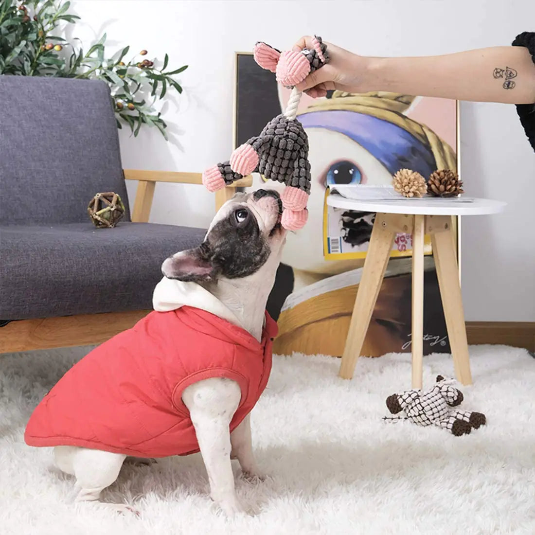 Interactive Plush Dog Toy - Cartoon Bite Resistant