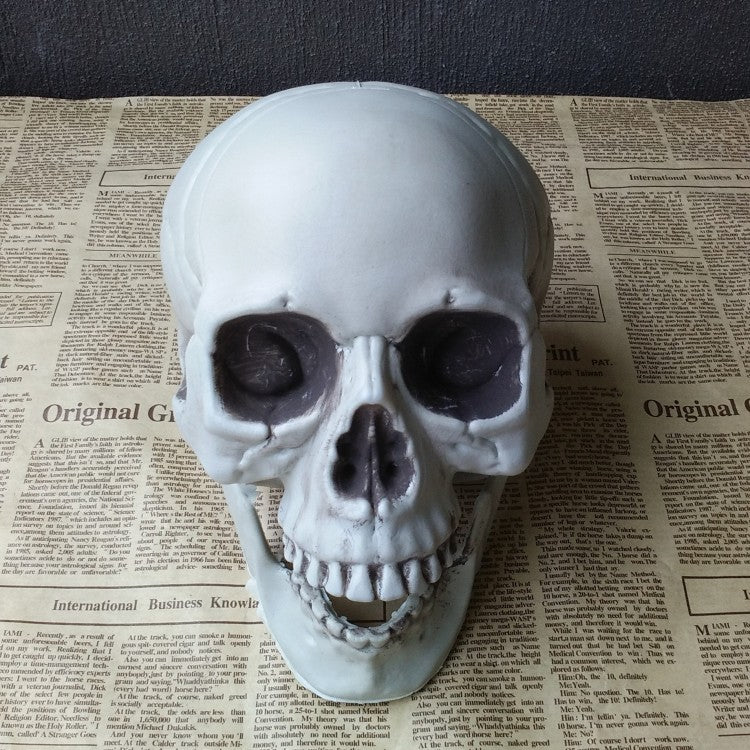Halloween Venue Layout Props